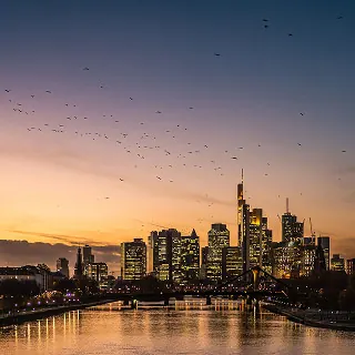 Frankfurt International Airport (FRA)
