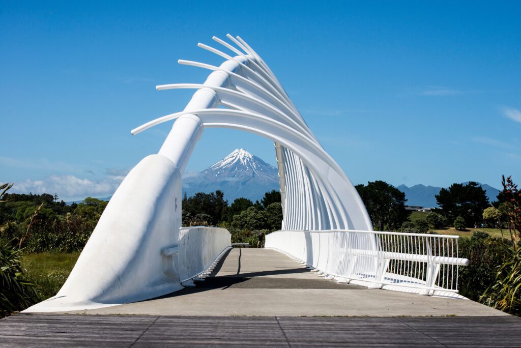 New Plymouth Airport (NPL)